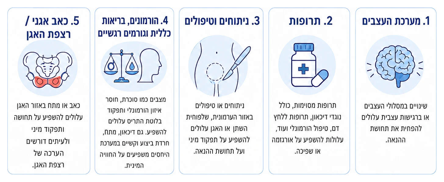 אינפוגרפיקה בחמישה חלקים של גורמים אפשריים לשפיכה או אורגזמה ללא תחושת הנאה: מערכת העצבים, תרופות, ניתוחים וטיפולים, הורמונים ובריאות כללית וגורמים רגשיים, וכאב אגני או רצפת האגן
