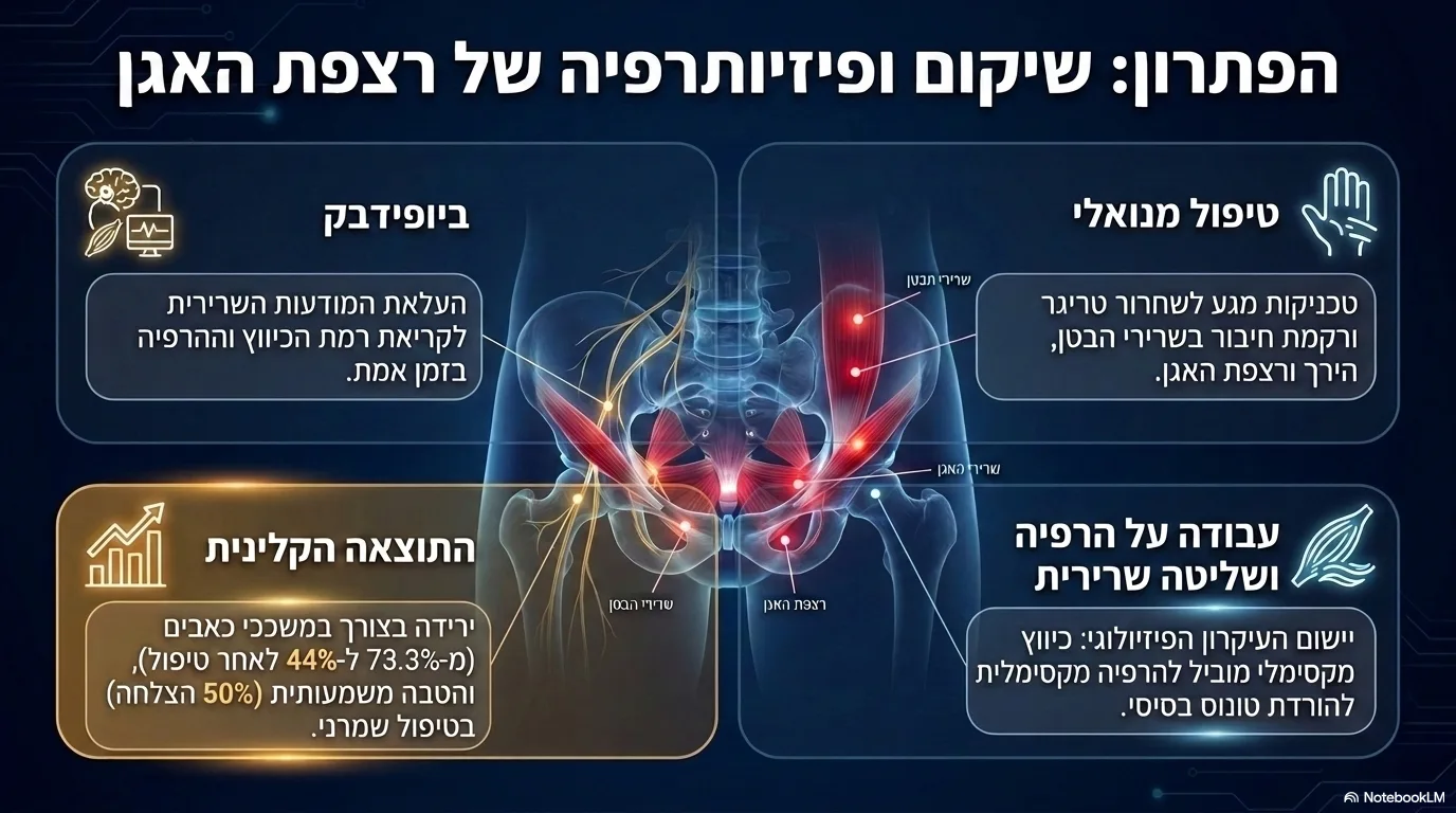 אינפוגרפיקה: פיזיותרפיה של רצפת האגן בכאב אשכים כרוני — טיפול מנואלי, ביופידבק ועבודה על הרפיה ושליטה שרירית