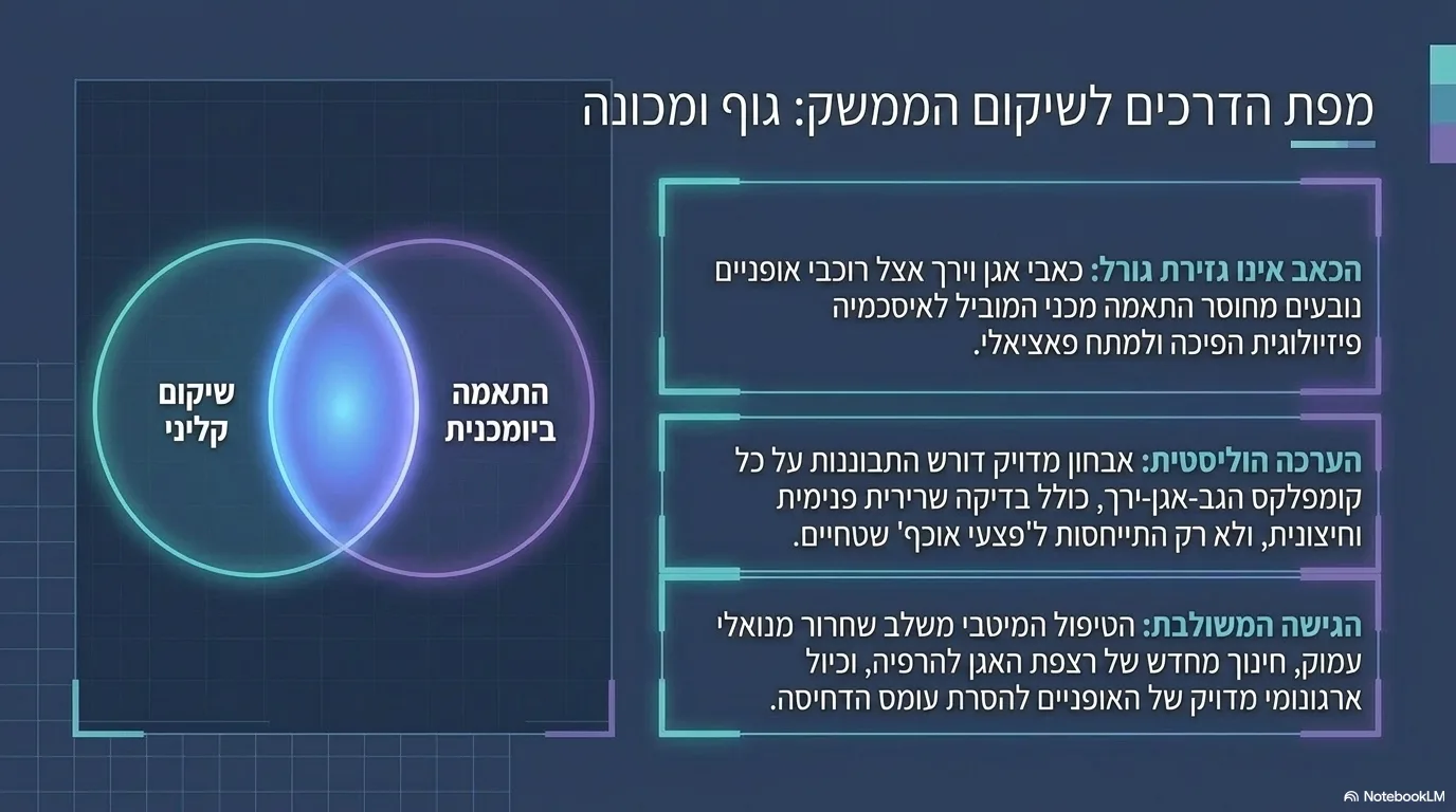 ביומכניקה של האגן ורצפת האגן ורצף הטיפול הקליני ברוכבי אופניים — שקופית קלינית