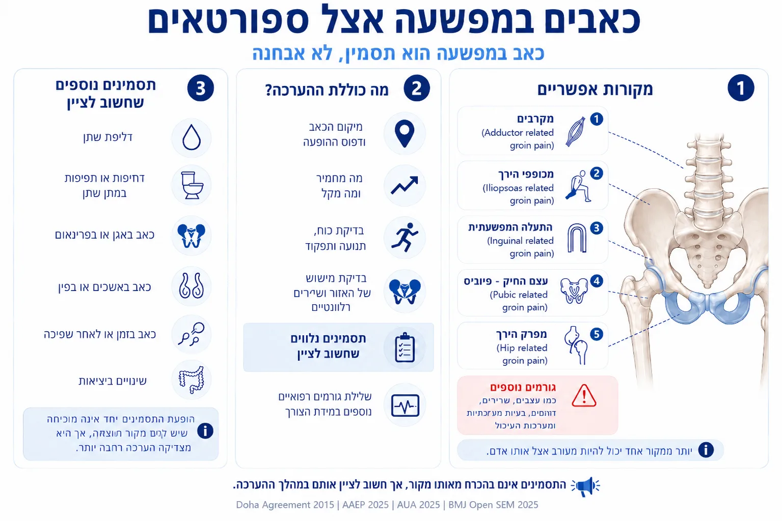 אינפוגרפיקה המציגה מקורות אפשריים לכאבים במפשעה אצל ספורטאים, מרכיבי ההערכה ותסמינים נלווים שחשוב לציין